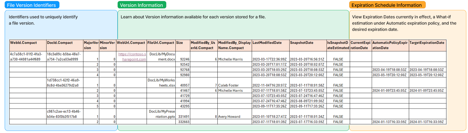 SharePoint version storage usage report opened in Excel.